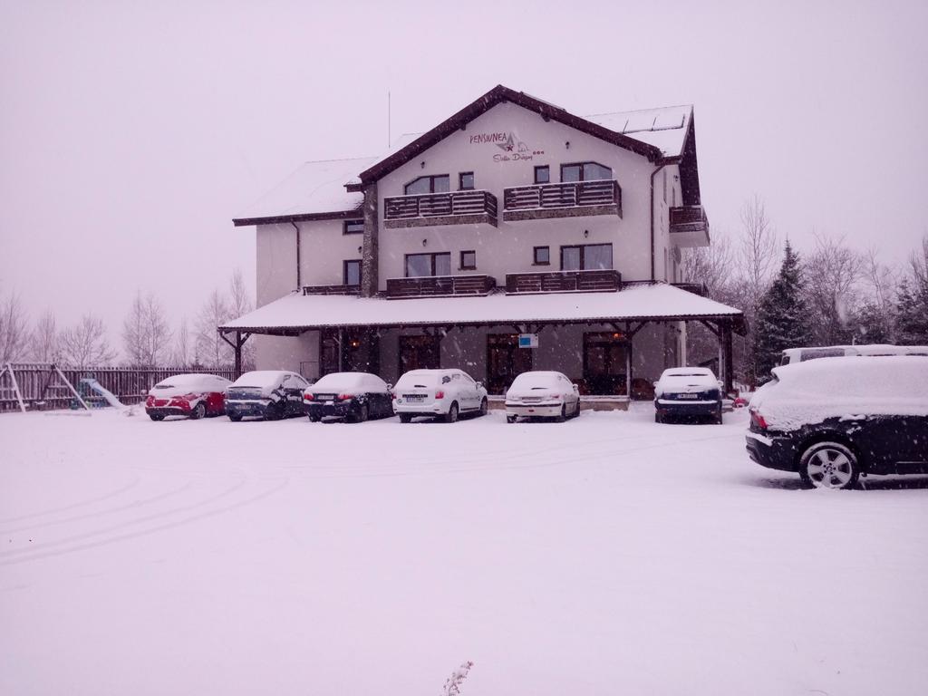 Pensiunea Stella Dragus Exterior foto